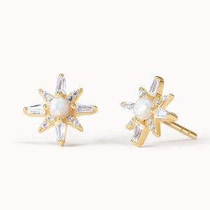 Hillberg & Berk Supernova Stud Earrings